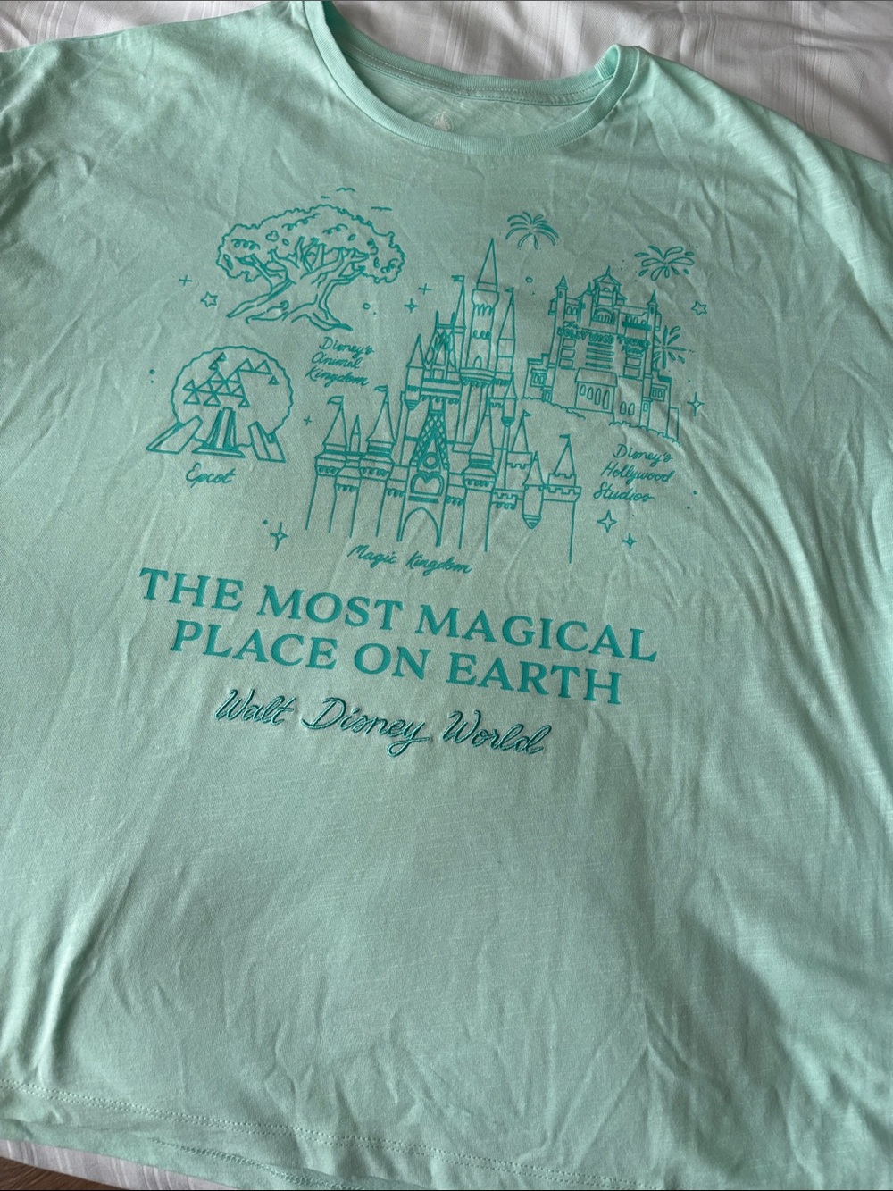 Disney Mint Graphic Tee with Teal Park Illustration